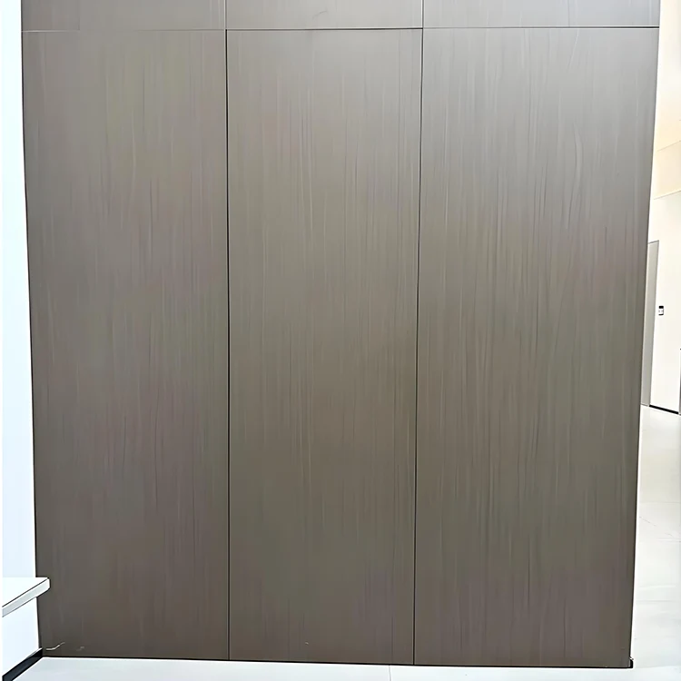 Cửa vô hình tích hợp trên tường Cửa vô hình tích hợp trên tường